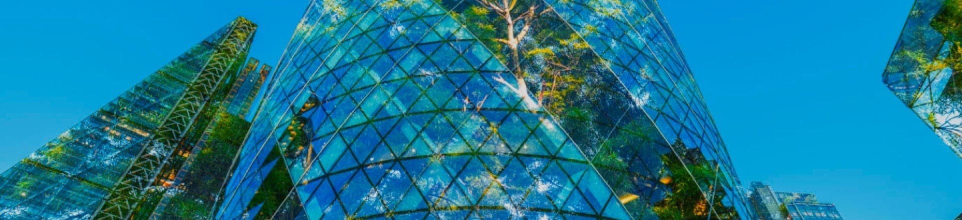 A glass-covered high-rise building reflects trees, creating a harmony between nature and urban design.