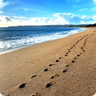 The footprints of people walking along the sea shore can be seen.