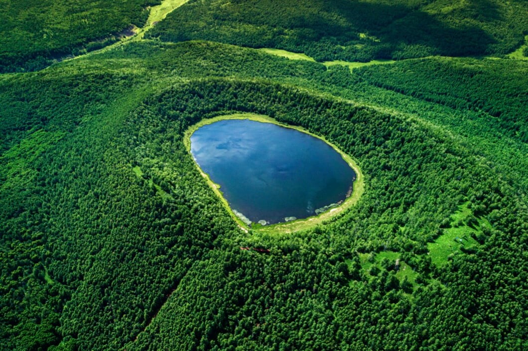 A vast green forest with a body of water in the center.